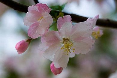 《毁灭战士：黑暗时代》采用idTech8引擎 兼顾画质和性能